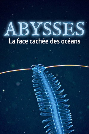 Abysses, la face cachée des océans