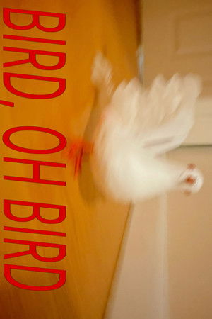 Bird, Oh Bird