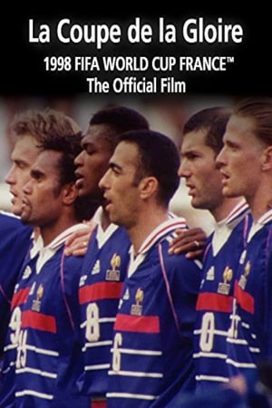 金杯与荣誉：1998年世界杯官方纪录片