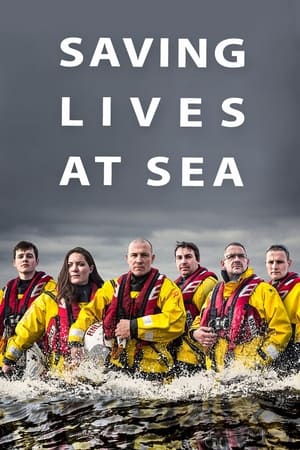 Saving Lives at Sea第5季