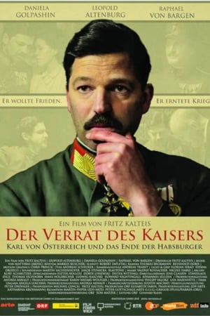 Verrat!: Das Ende der Habsburger im Ersten Weltkrieg