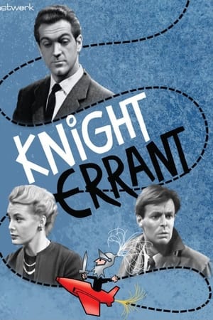 Knight Errant Limited