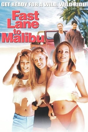 Fast Lane to Malibu(2000电影)