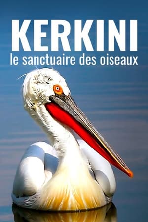 Kerkini, le sanctuaire des oiseaux