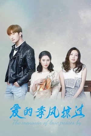 爱的季风掠过