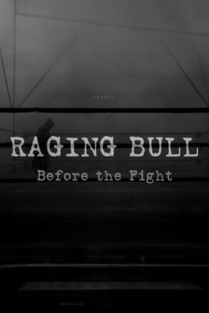 Raging Bull: Before the Fight(2005电影)