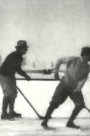 Hockey Match on the Ice