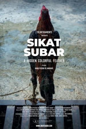 Sikat Subar A hidden Colorful feather