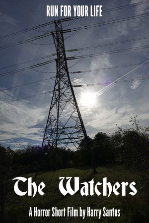 The Watchers