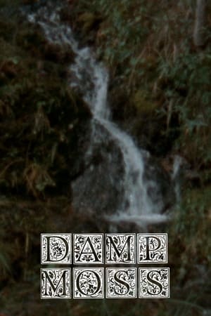 Damp Moss