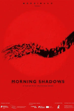 Morning Shadows