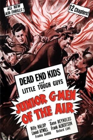 Junior G-Men of the Air(1942电影)