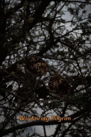 رحلة المسافر