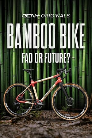 Bamboo Bikes: Fad or Future?
