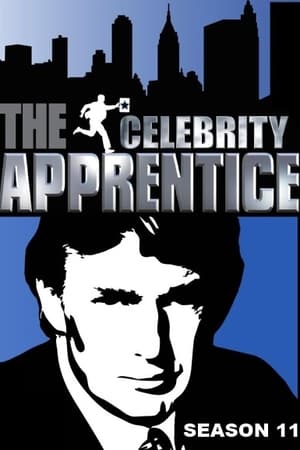 The Celebrity Apprentice第11季