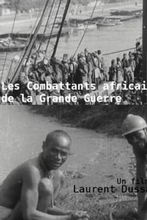 Les Combattants africains de la grande guerre