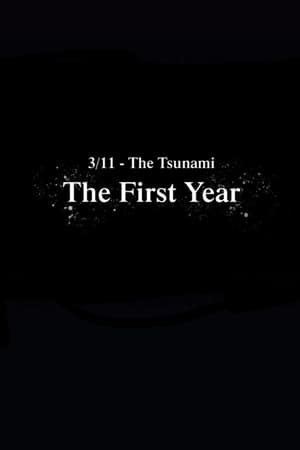 3/11-The Tsunami: The First Year