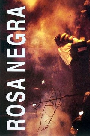 Rosa Negra(1993电影)