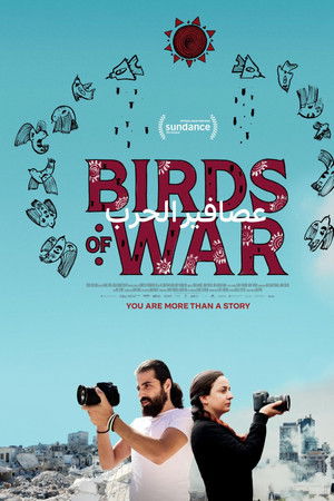 Birds of War