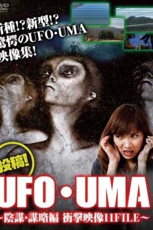 投稿！UFO・UMA～陰謀・謀略編 衝撃映像11FILE～