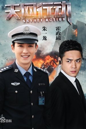 天网行动