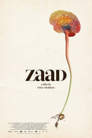 ZAAD