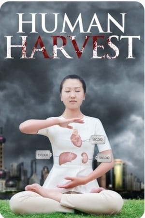 活摘Human Harvest