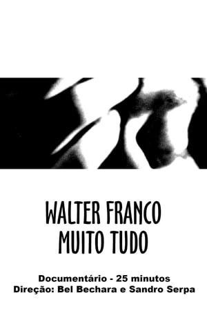 Walter Franco Muito Tudo