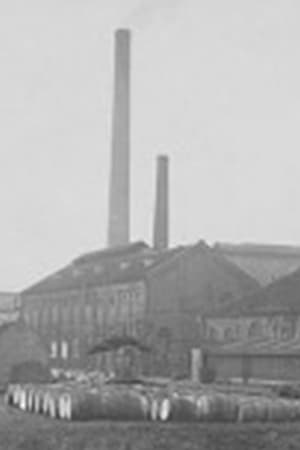 Koninklijke Stearine Kaarsenfabriek Gouda