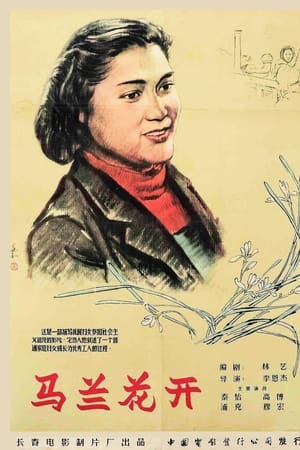 马兰花开