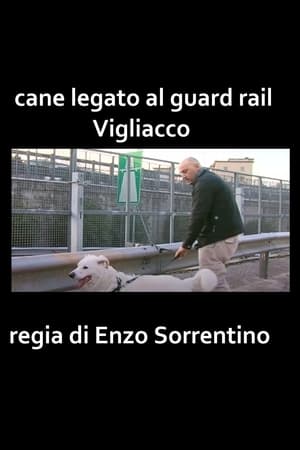 Cane legato al guard rail vigliacco