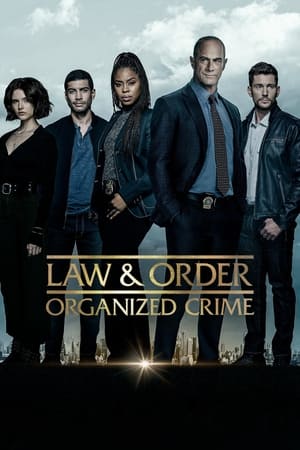 法律与秩序：组织犯罪第 3 季