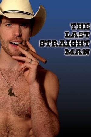 最后的直男,The Last Straight Man(2014电影)