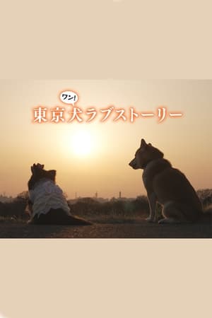 东京犬爱情故事