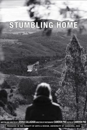 Stumbling Home