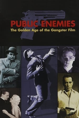 公众之敌：黑帮电影的黄金时代