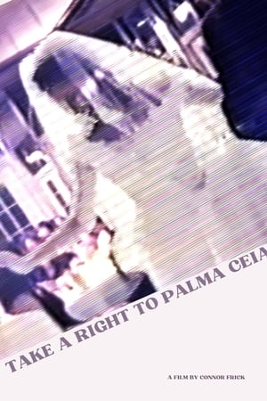 Take a Right to Palma Ceia