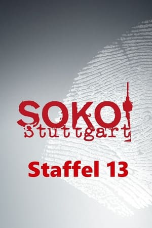 SOKO Stuttgart第13季