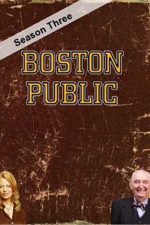 Boston Public第3季