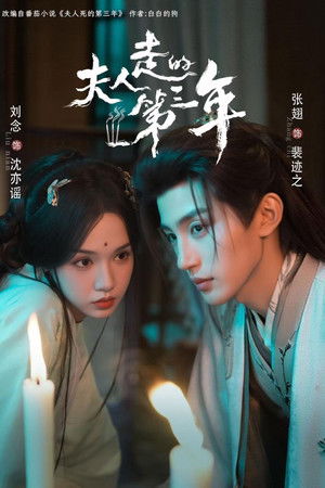 夫人走的第三年