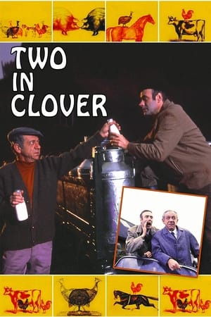 《Two in Clover》1969电视剧集在线观看完整版剧情