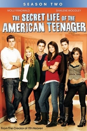 The Secret Life of the American Teenager第2季