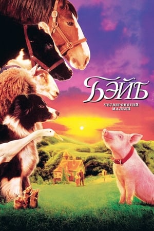 小猪宝贝