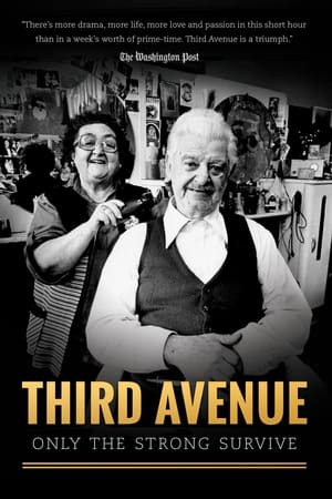 Third Avenue: Only the Strong Survive