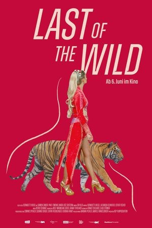LAST of the WILD