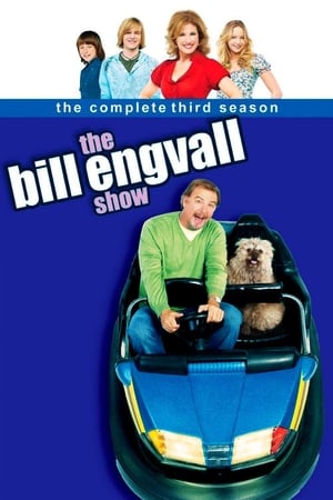 The Bill Engvall Show第3季
