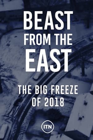 Beast From The East: The Big Freeze Of 2018