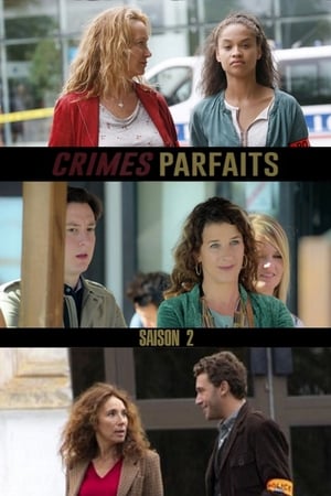 Crimes parfaits第2季