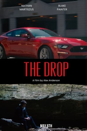 The Drop(2024电影)