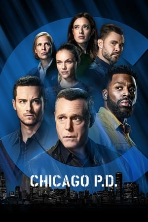 芝加哥警署第9季